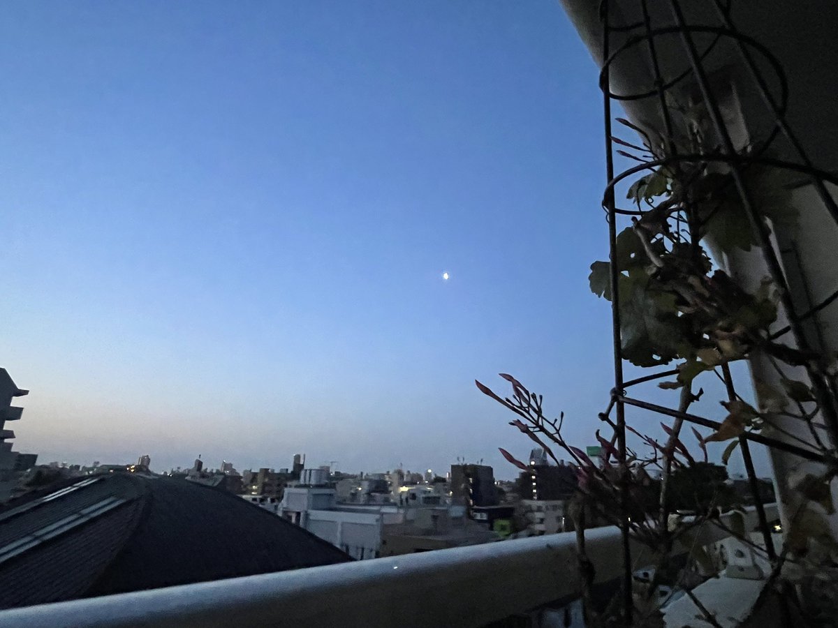 下弦の月には遅かったか？昨日だったかな。