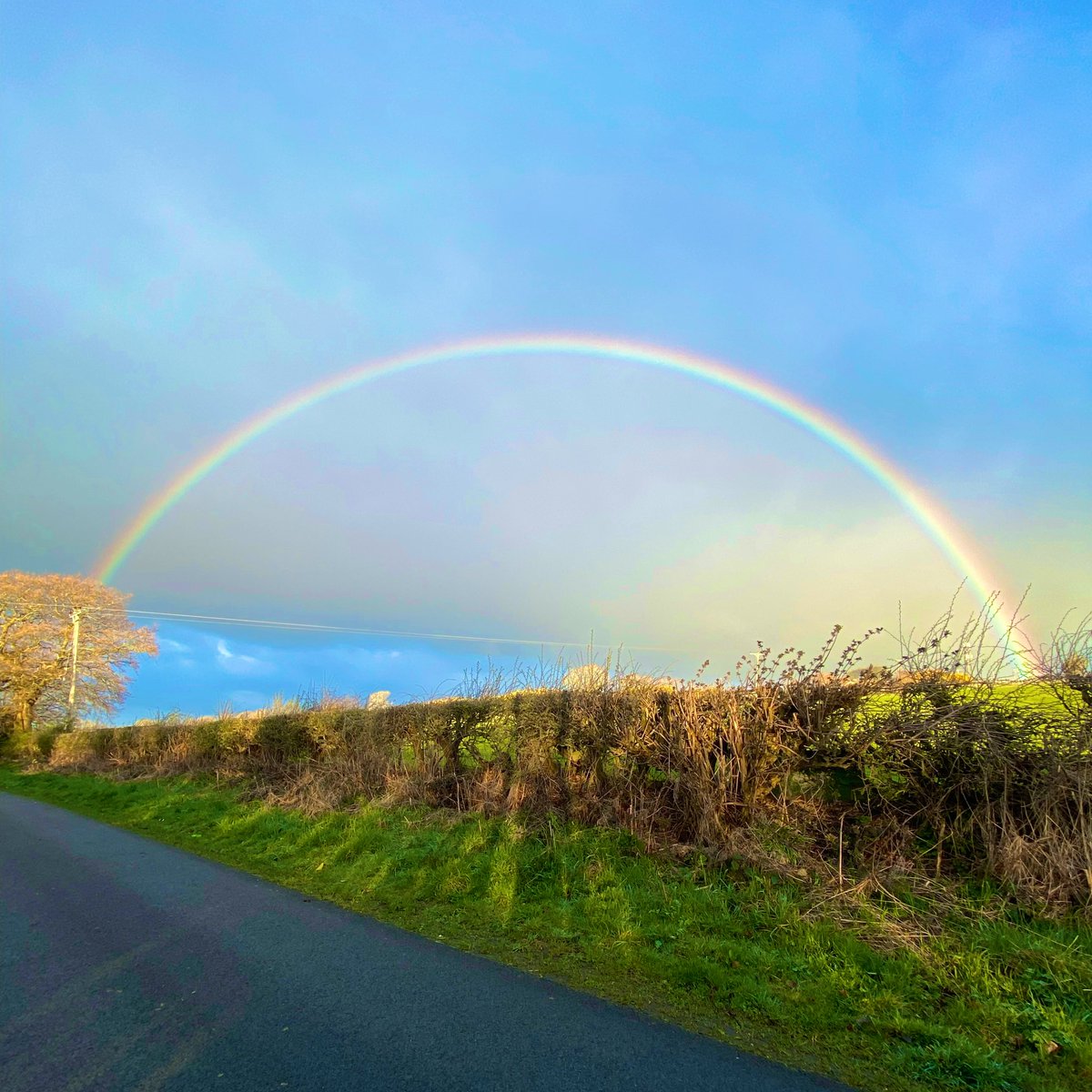 “The way I see it, if you want the rainbow, you gotta put up with the rain.” – Dolly Parton

No pot of gold but this morning’s vibrant rainbow was enough anyway. 🌈🙂

Have a good day, fellow micronations! 

#Micronations #Rainbow