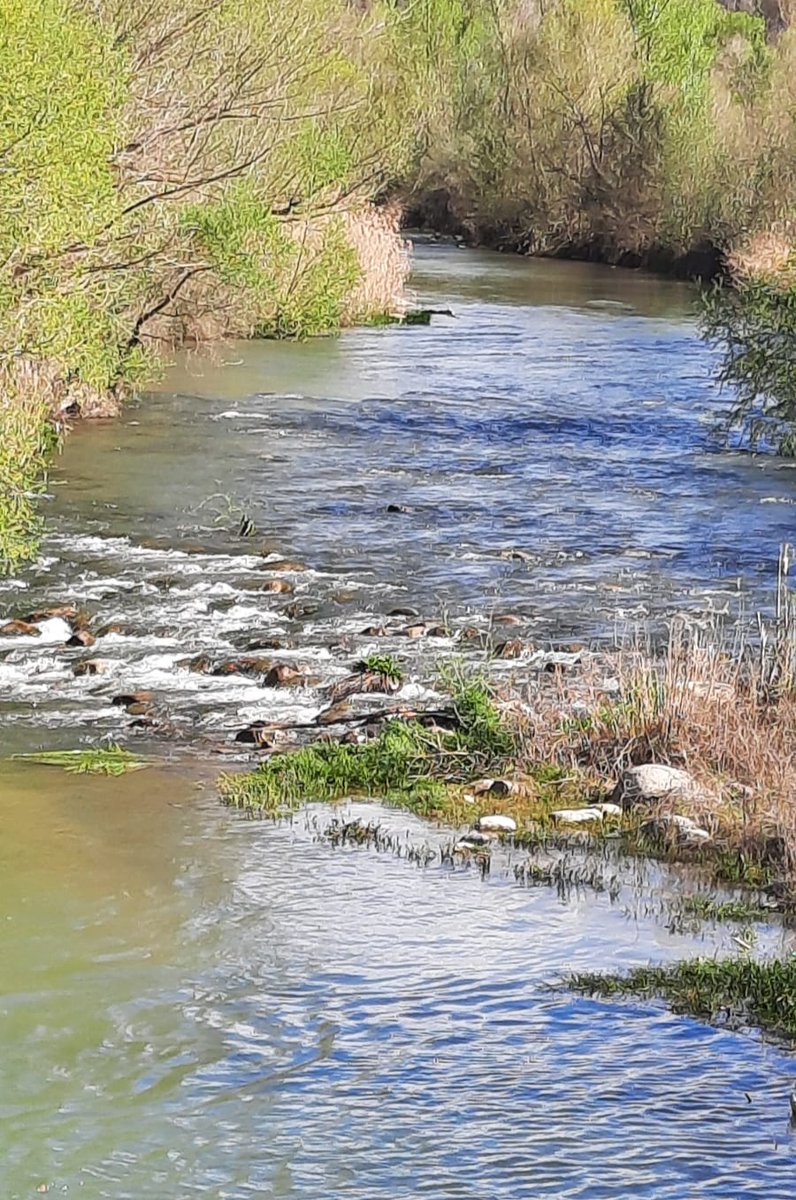 Haiku3 per la igualtat
#StJordICS
<a href="/icscat/">ICS. Generalitat</a>  
        Meandres d'aigua
fent un vals amb els      
                                   còdols. 
         La vida passa.