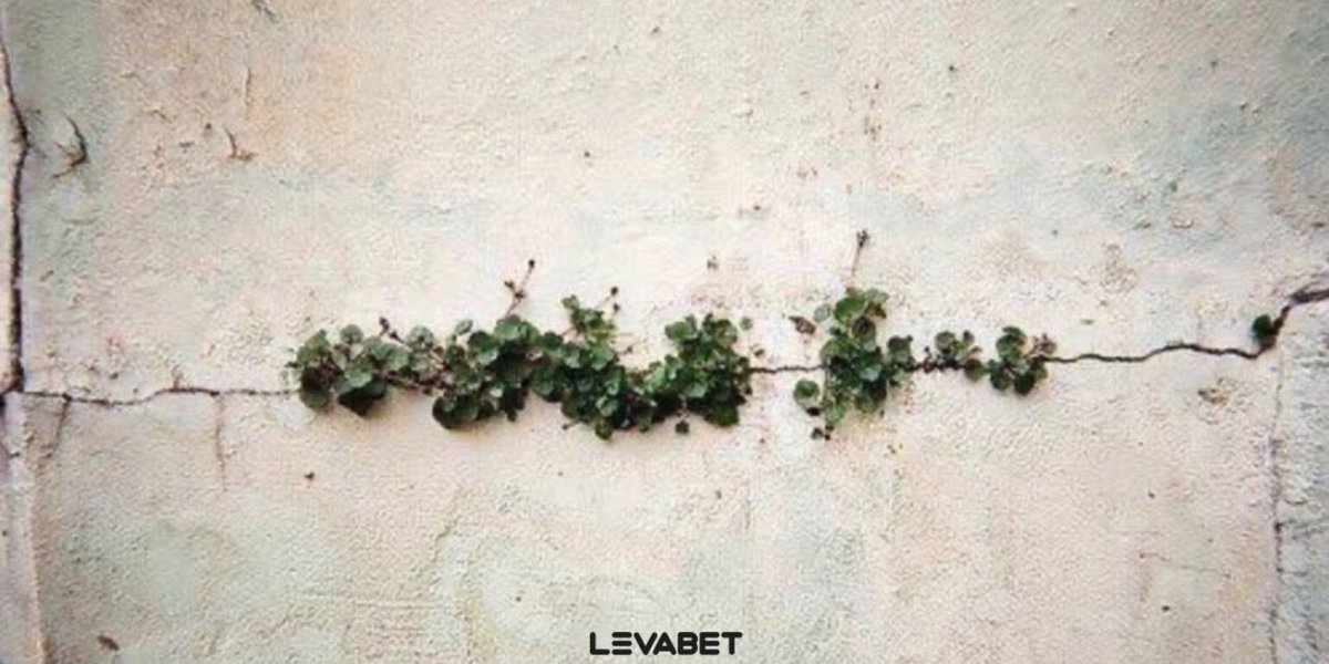 “Belki de kırılmasaydı, yeşillenmeyecekti..”