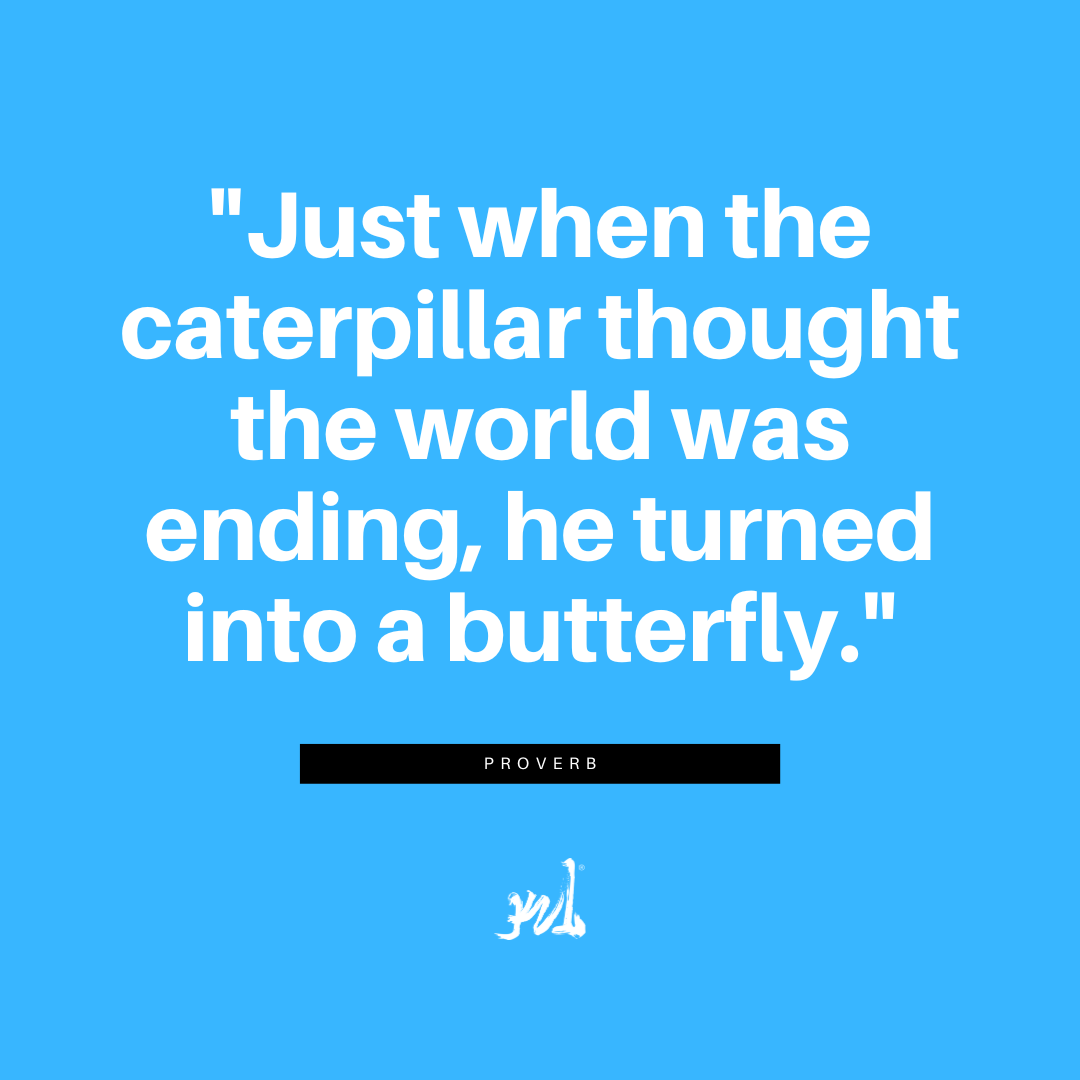 Kz1Team's tweet image. Daily Motivation 🙌

"Just when the caterpillar thought the world was ending, he turned into a butterfly." - Proverb

teamkz1.com

#butterfly #caterpillar #KZ1 #TeamKZ1