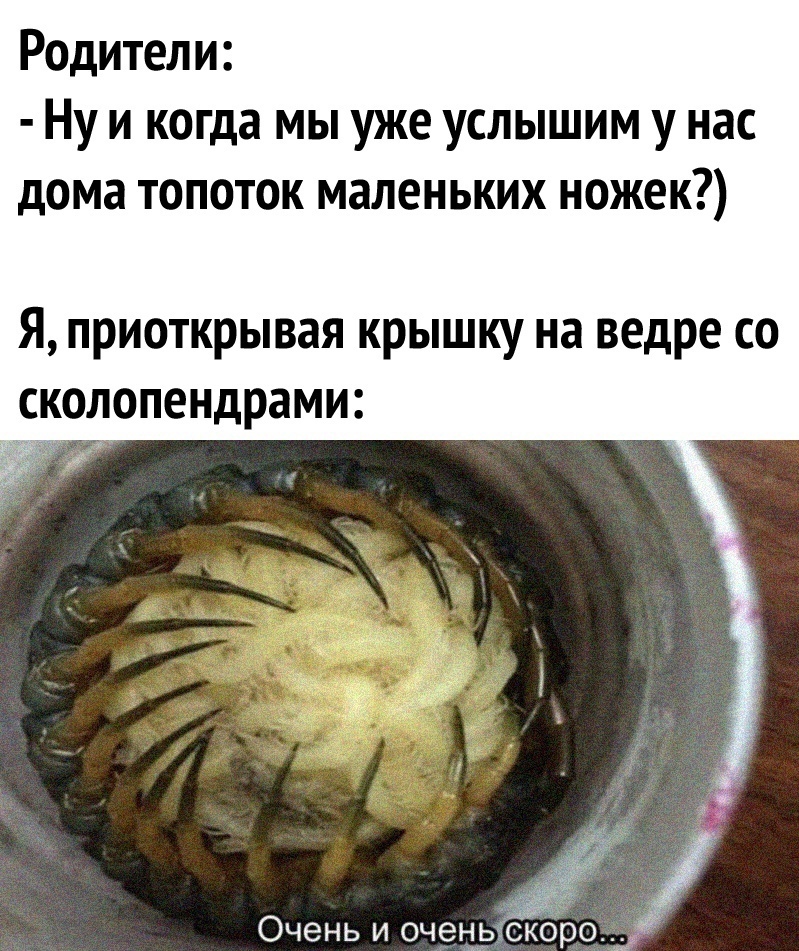 Отборный юмор (@otbornyi_umor) on Twitter photo 