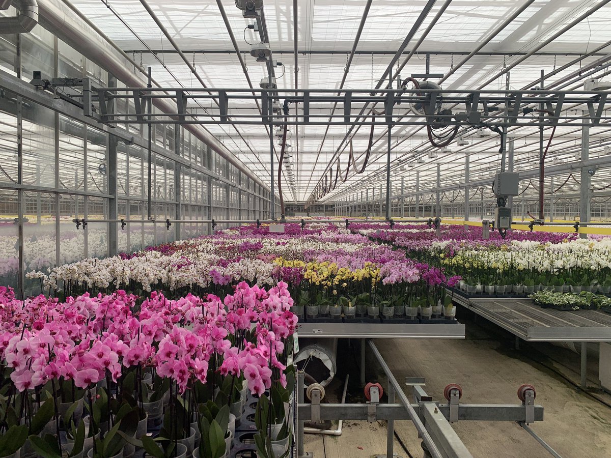Ohio State ATI Greenhouse Program tweet media