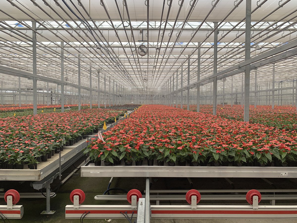 Ohio State ATI Greenhouse Program tweet media