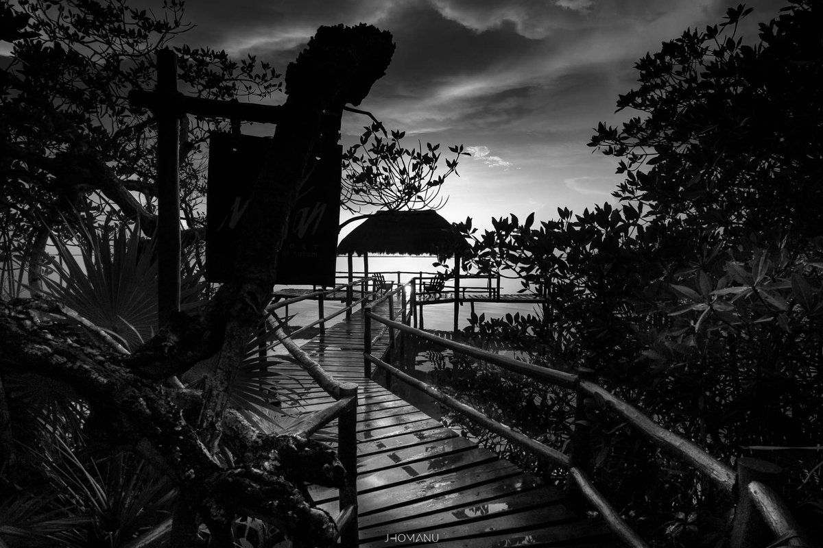 Jhomanuu's tweet photo. En los momentos más oscuros, al final del camino, hay una luz que está esperando ser encontrada... ✨⁣⁣⁣⁣⁣⁣

#SianKaan #QuintanaRoo #Mexico https://t.co/AEo2P6E1Pc