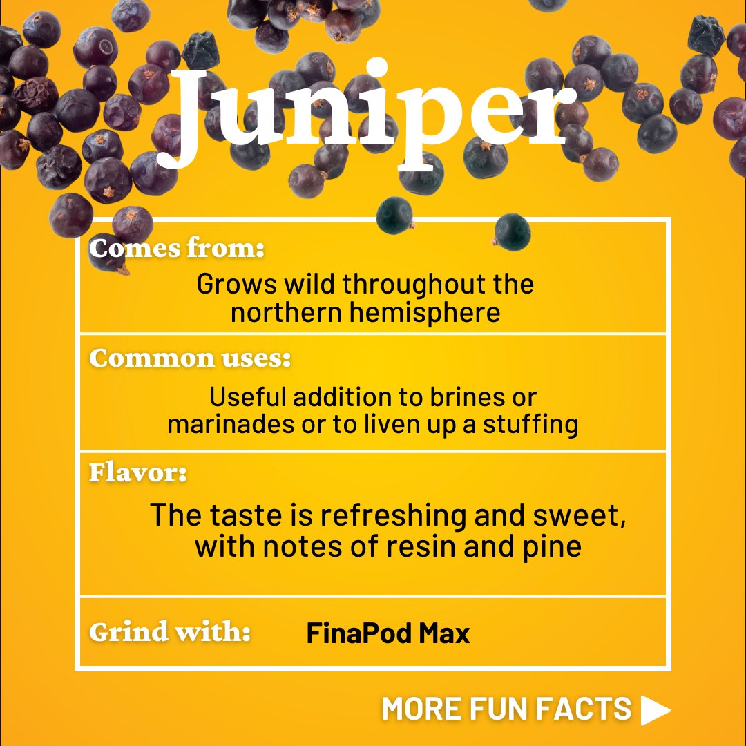 FinaMill's tweet photo. Renowned for their versatility, juniper berries can elevate savory dishes like stews, marinades, and even your classic gin and tonic! You can effortlessly grind them for an unforgettable flavor boost with the FinaMill MAX Pod. https://t.co/A6VBC0yF6f