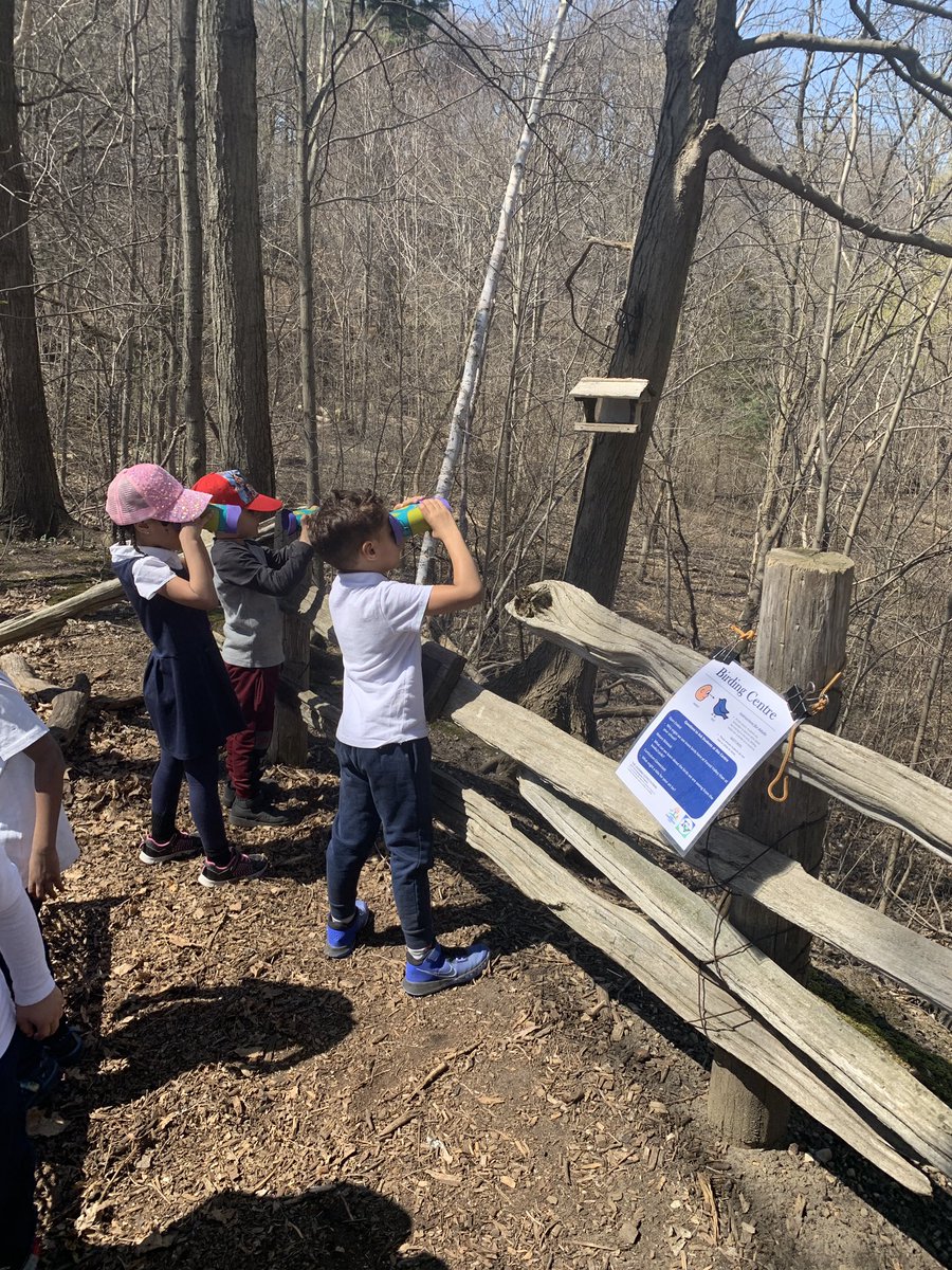 Ms. Simopoulos tweet media