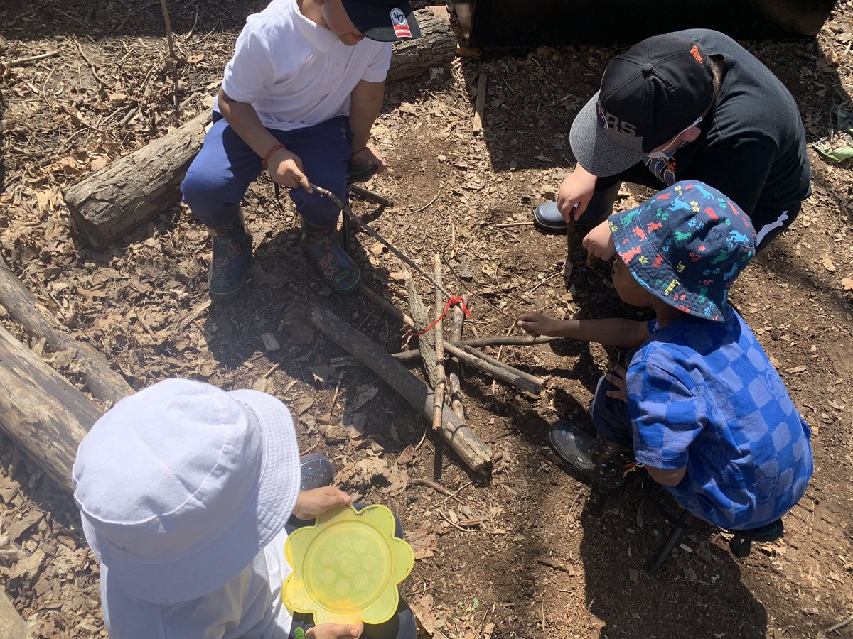 Ms. Simopoulos tweet media