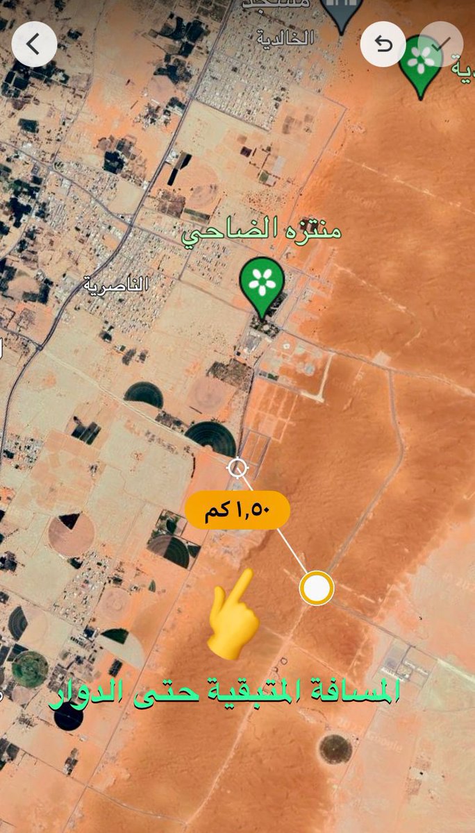 صور من الدلم tweet media