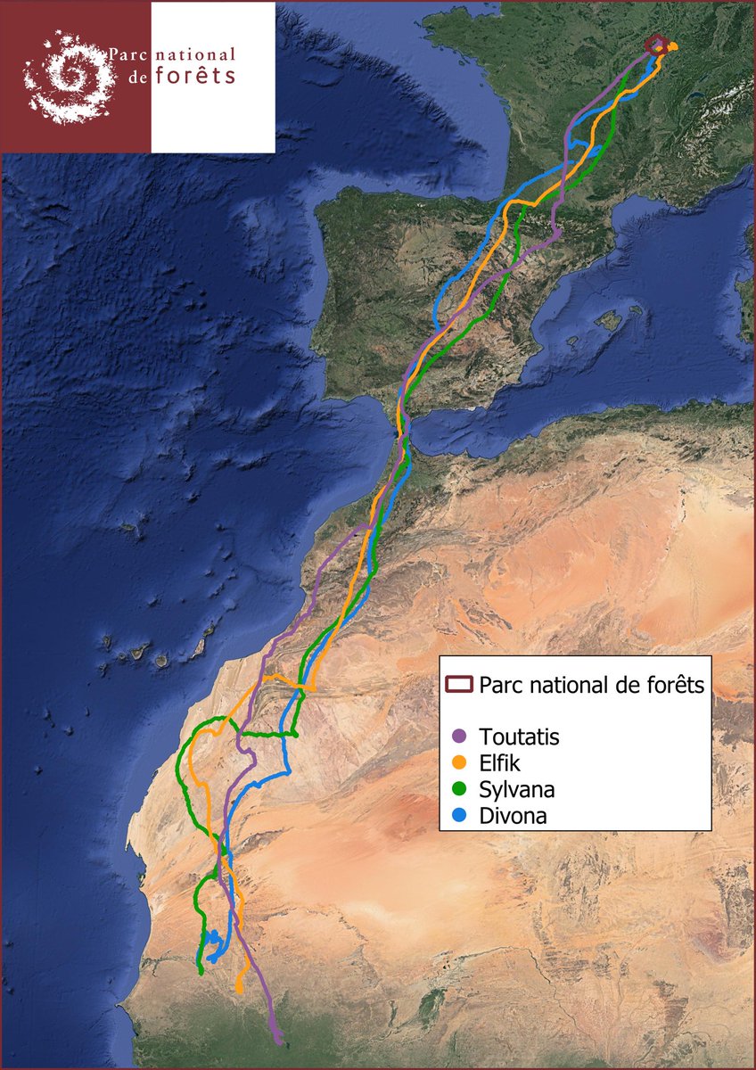 Philippe Puydarrieux tweet media