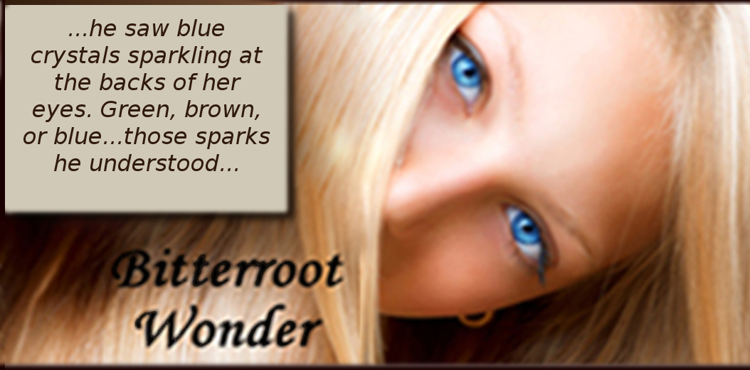 Romance Writers tweet media