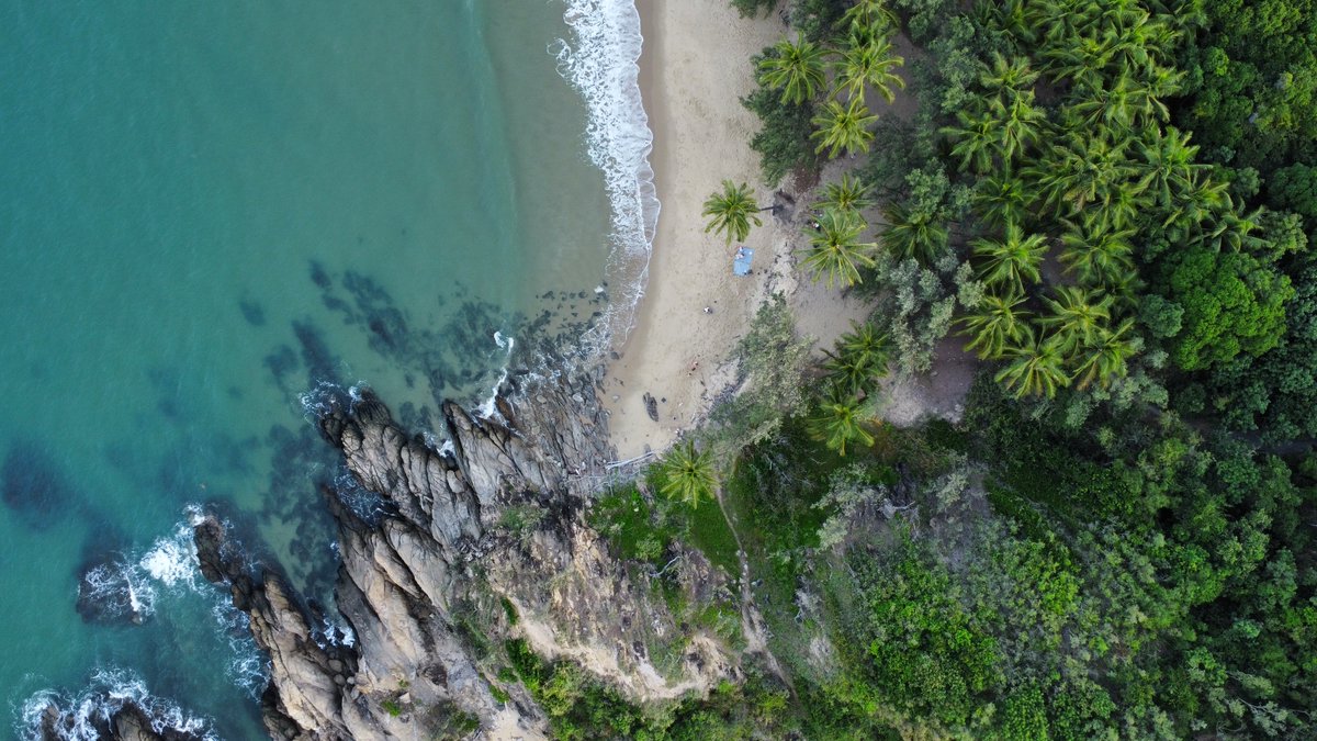 Picnic hamper on the sand .. by a coconut palm .. on a beautiful headland? Let's go! <a href="/thalabeach/">Thala Beach Lodge</a> ✨
.
.
.
.
.
#exploreTNQ #portdouglasdaintree #portdouglas #thisisqueensland #thalabeach #seeaustralia #ecotourism #visitportdouglas #explorecairnsGBR #resort #travel #coconutpalm