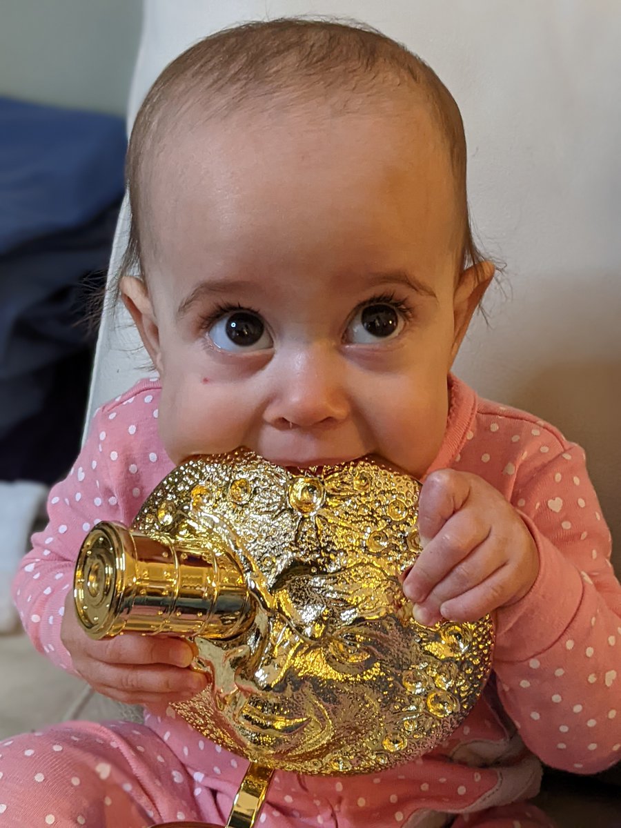laurentkermel's tweet photo. My VES award arrived last week and it was time to reunite all my life achievements in one picture! Look at these two - Carole kept playing with the little built-in light while Lucy simply tried to eat the whole thing. #TheRingsOfPower #VESAwards https://t.co/VpuzFkEJV1