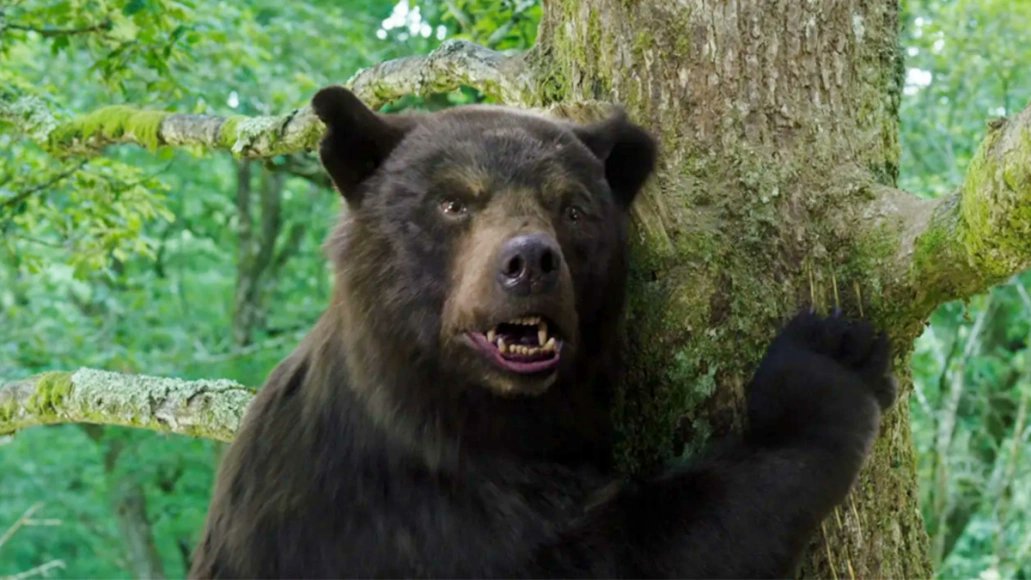 consequence's tweet photo. Cocaine Bear: The True Story, a documentary on what inspired the dark comedy, will premiere on Peacock on April 14th. https://t.co/tcxNGdYIYA https://t.co/bSvq4rhOMn