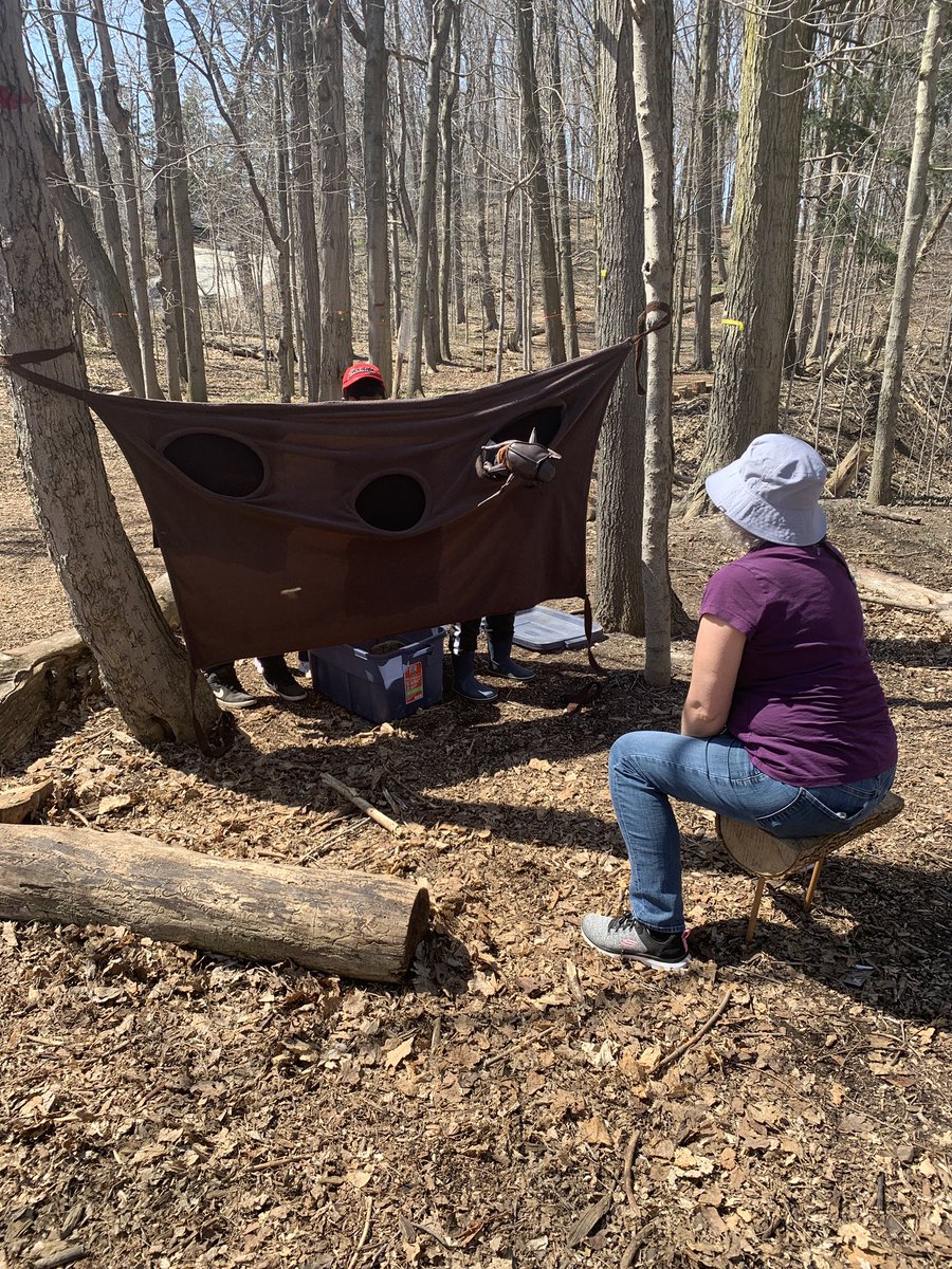 Ms. Simopoulos tweet media