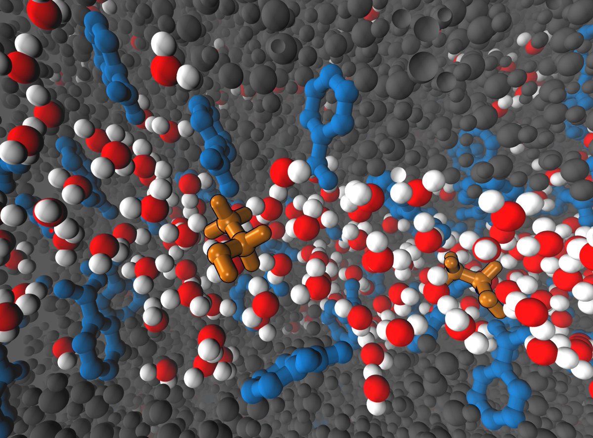We have a new issue out! This includes our first "version 2" article, an updated and expanded article dealing with a new version of the WESTPA enhanced sampling package: livecomsjournal.org/index.php/live…

Issue: livecomsjournal.org/index.php/live…

#compchem