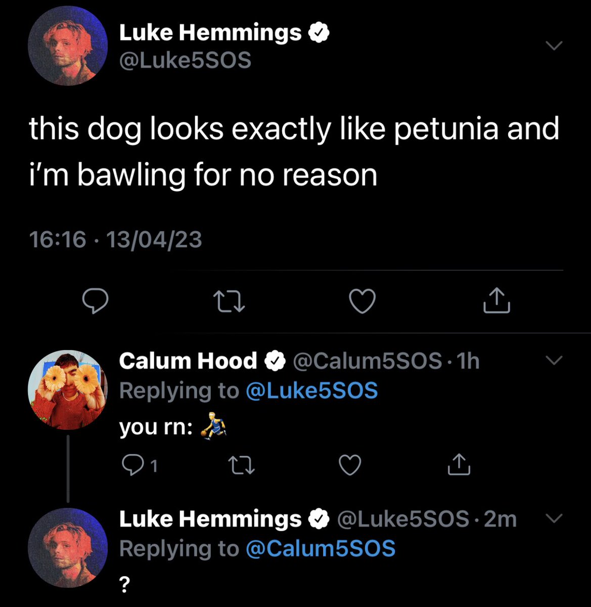 5sos tweets tweet media