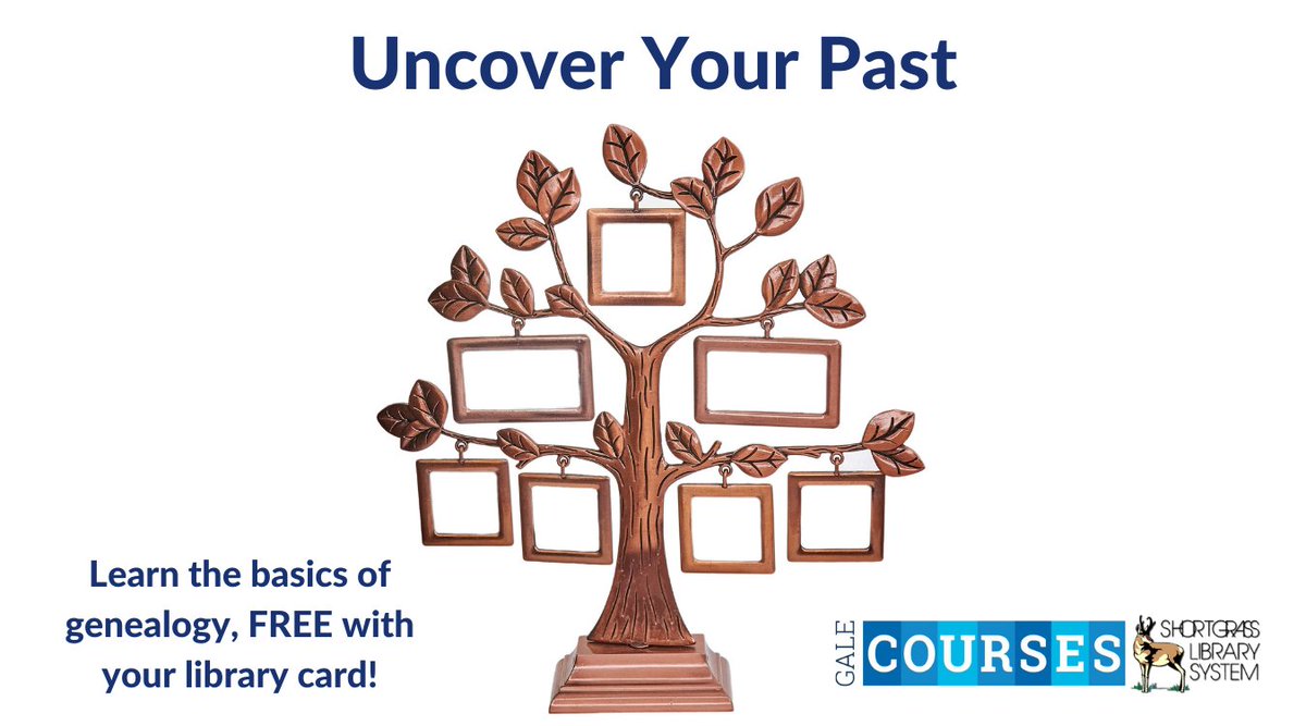 Shortgrass tweet media