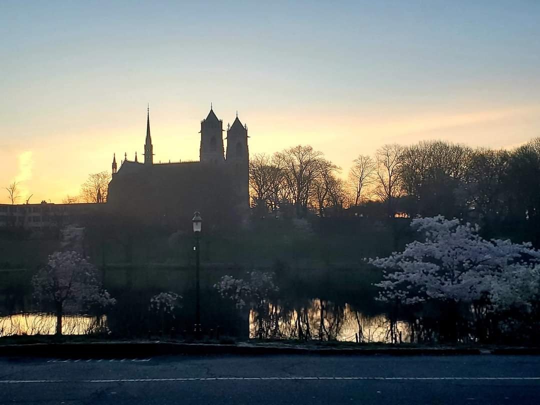 MunTra's tweet photo. Starting the day riding thru Branch Brook with Sacred Heart peaking high above the waking cherry blossoms. Thank you Linda Harrison @ #wbgo for the new day new play...perfect! #wbgo #garywalker https://t.co/203pbnZl7s