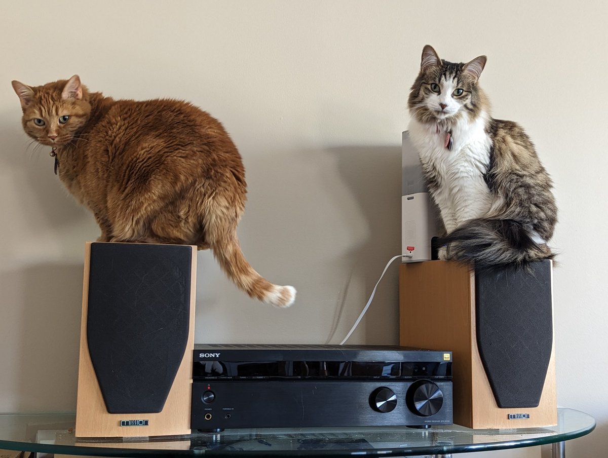 RobinFernandoArt tweet media