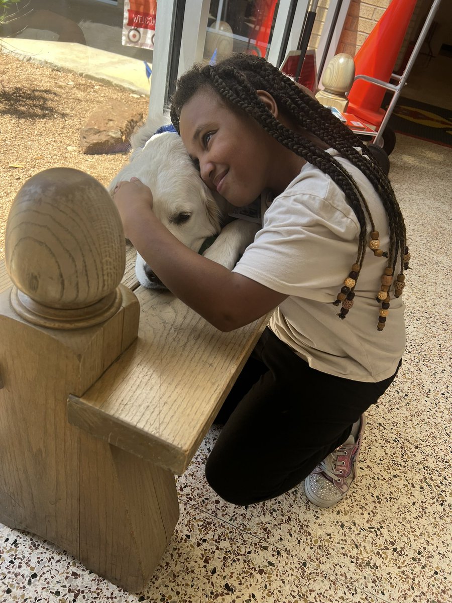 🎶🎼 Oh this has gotta be the good life 🎼🎶 I’m so lucky to have the best job in the world! #comfortdog #whocomfortswho