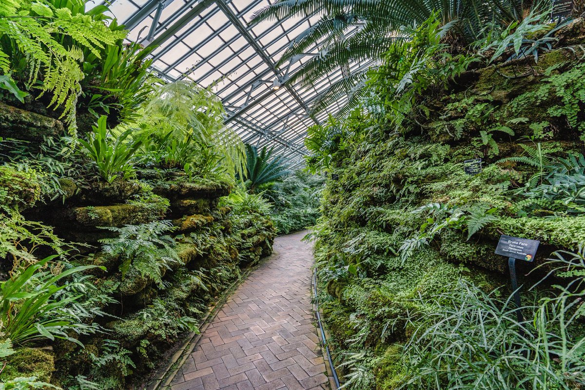 logolau5's tweet photo. Greenery 🌴 https://t.co/YDjsApwWsw