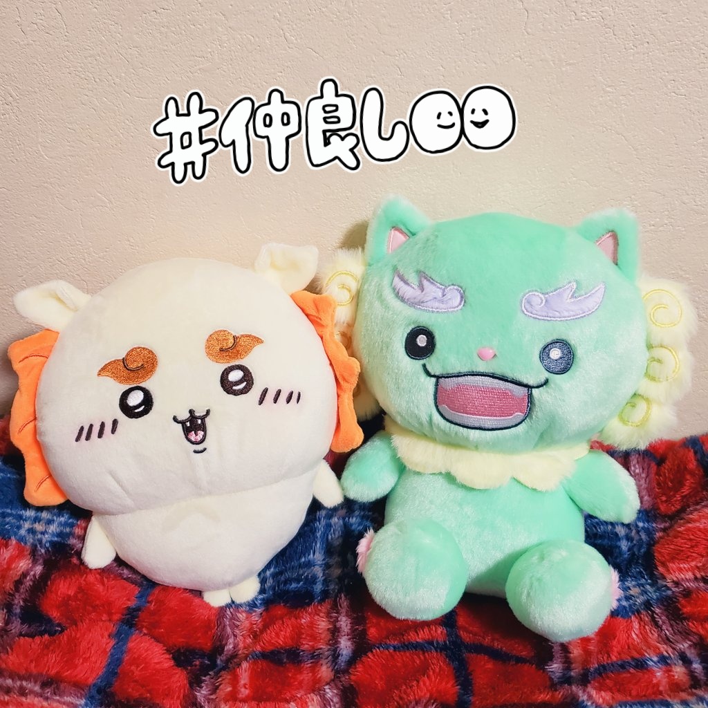 spu_sho's tweet photo. やぬたんようこそ💚☕✨
先輩シーサーちゃん🌺と一緒に楽しくまったり守り神よろしくお願いしますね🥰
#うちのジェオチャム https://t.co/U3BdjEV6Z6