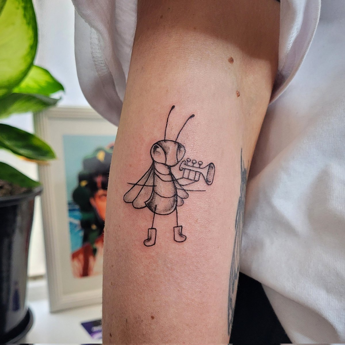 magecandor's tweet photo. A collection of bugs

#melbourne #tattoo #smalltattoos #tattooideas https://t.co/SFONiynlAE