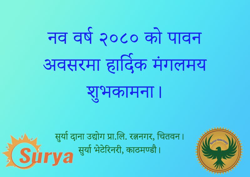 दिनेश कट्टेल (@katteldines) on Twitter photo 