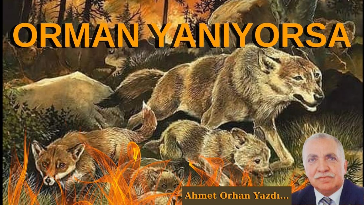 Orman Yanıyorsa / Ahmet Orhan Yazdı... manisasonhaber.com/gundem/orman-y… 
<a href="/ahorhan/">ahmet orhan</a>