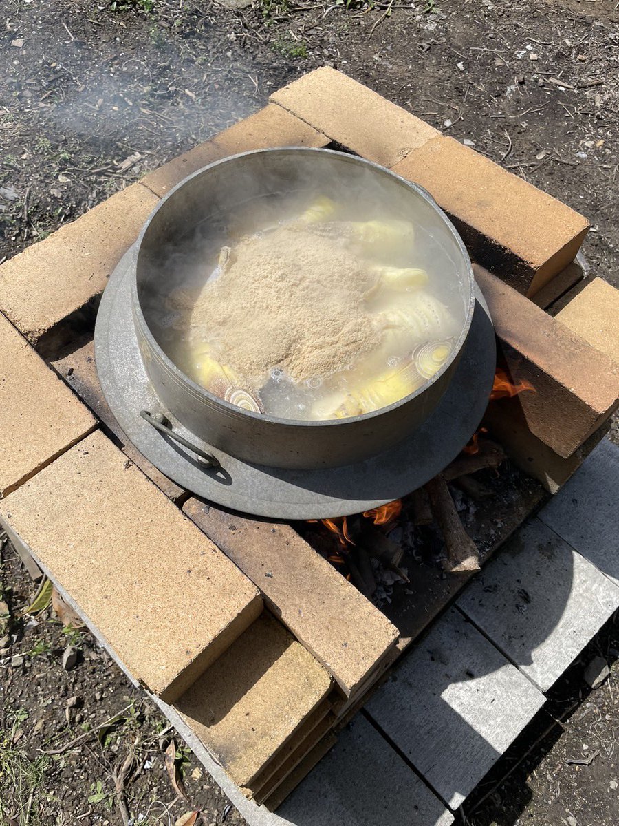 coco_sasayama's tweet image. 篠山でタケノコを収穫してきました！
旬の食材を採りたてで食べれるのは田舎の魅力の一つですね。

来週もたくさん収穫してきます✨