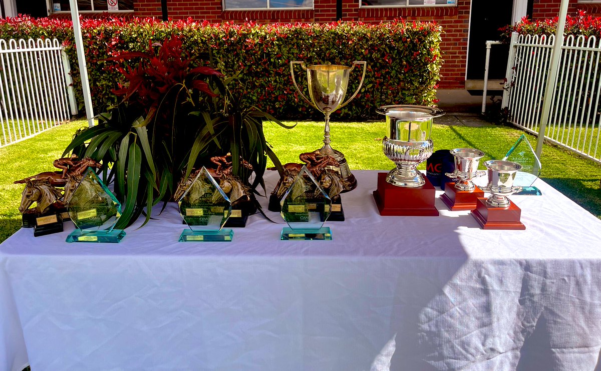 The sun is shining on Towac Park for the running of the Orange Gold Cup race day, sponsored by Orange Motor Group. Thank you to all of our wonderful supporters, looking forward to a great day.