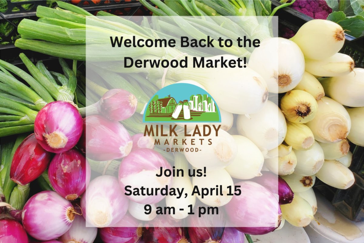 Milk Lady Markets tweet media