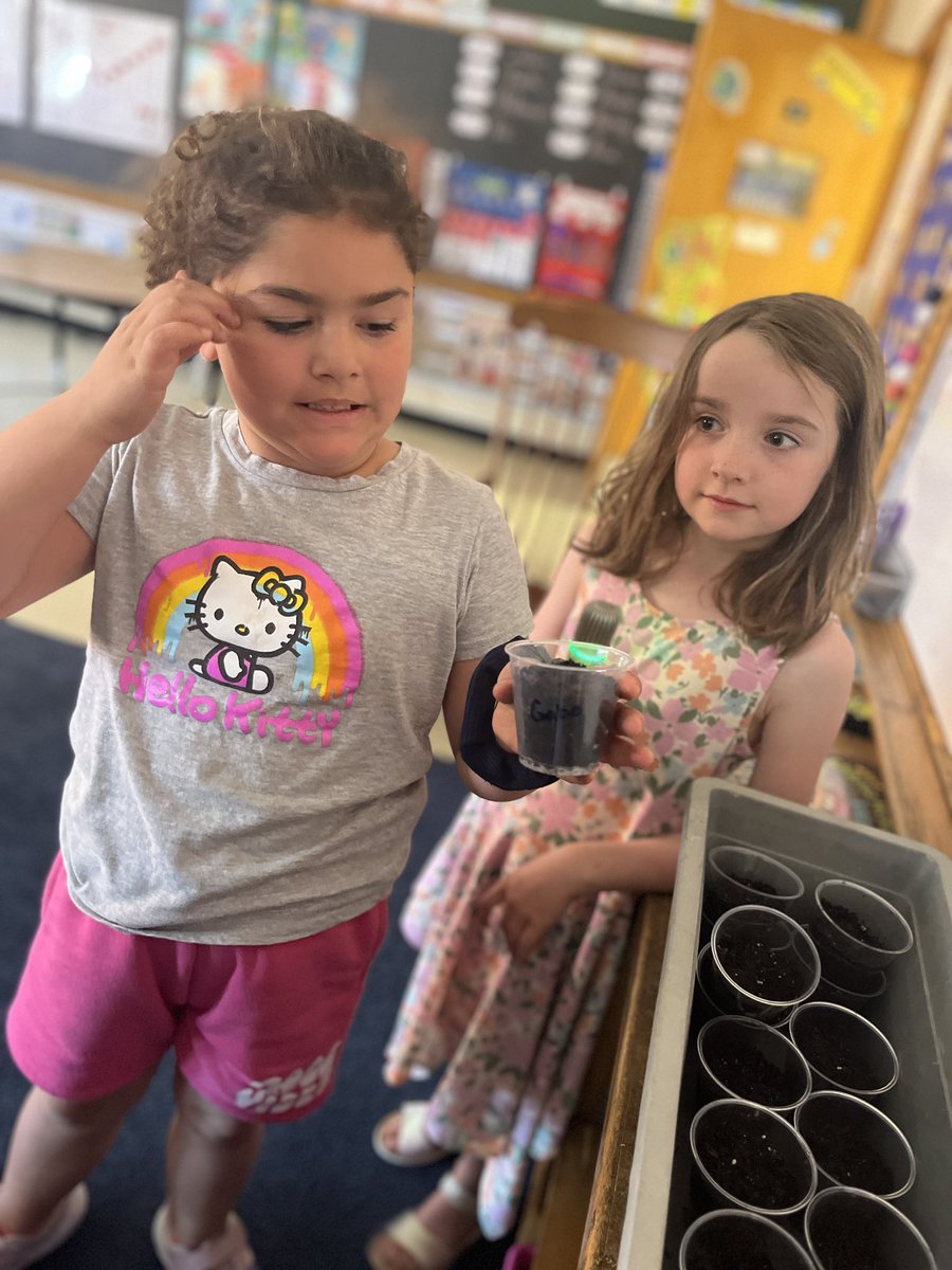 My heart ❤️ smiled today when a student made her classmates each a gift to celebrate her own birthday! A small cup of wildflowers to help our bees. “From seeds of kindness love grows.” <a href="/gecdsbpro/">GECDSB PR</a> <a href="/CityFalcons/">Ford City Falcons</a>