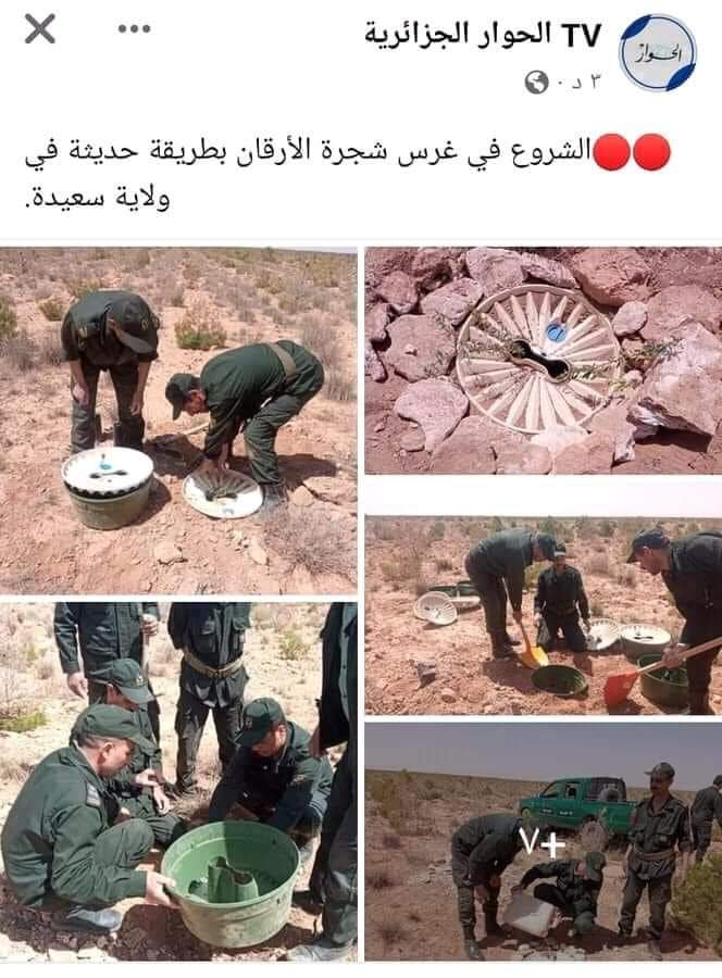 💙الباتول tweet media