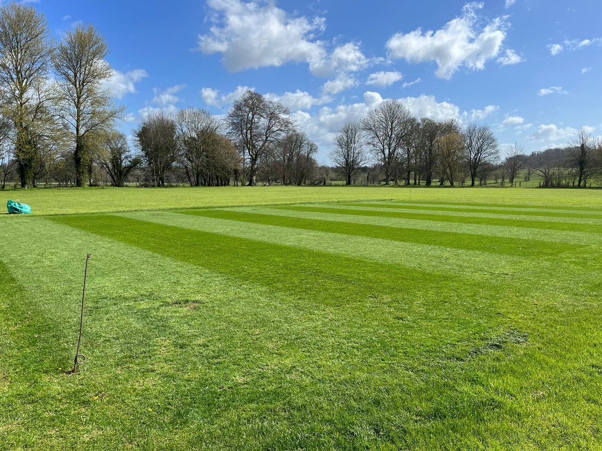 Firle Cricket Club tweet media