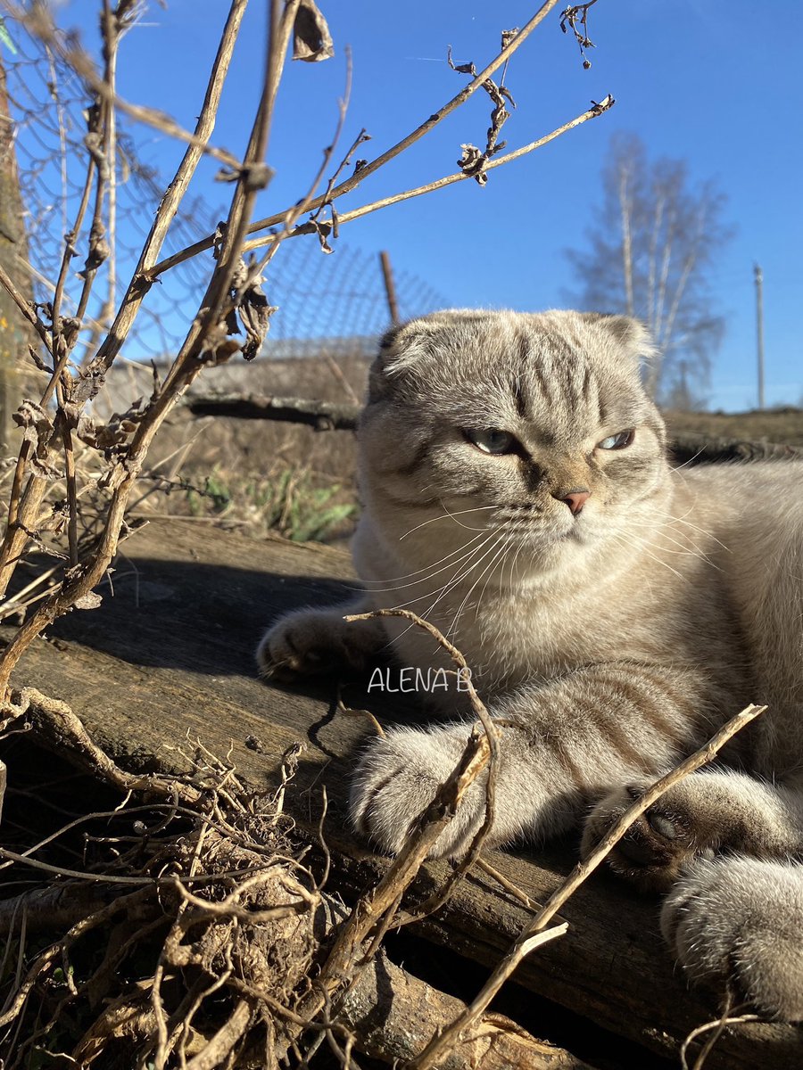 Морс и весна🧃
