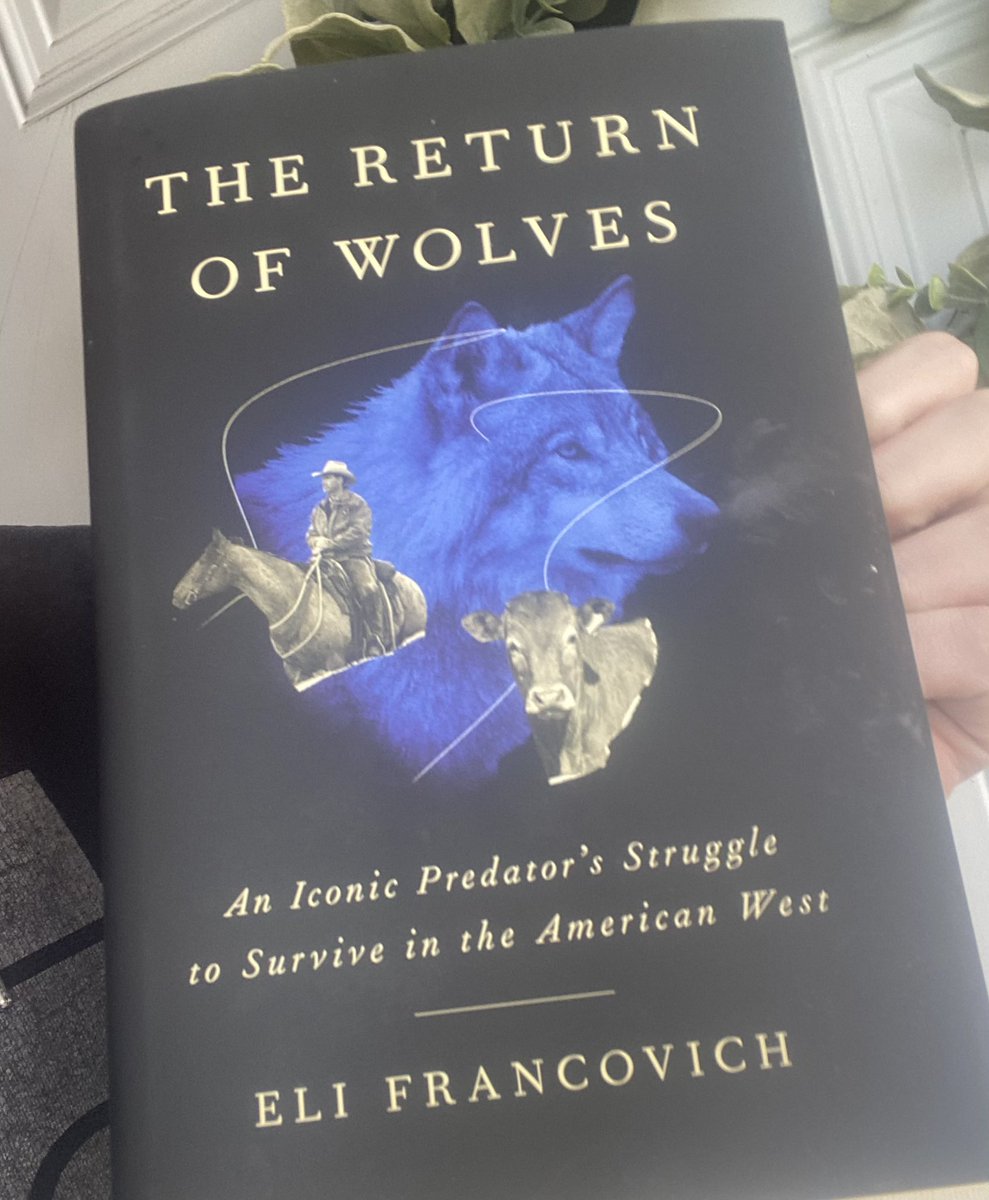 rwcollingwood's tweet photo. We had the same high school English teacher, played ๐ in the same (awful) league, sat by each other at work for years, and now we have the same job in different parts of the country.
Proud of fellow North Idaho product and #catbro @elijah_nicholas for his new book release! https://t.co/vgaAkvtezk