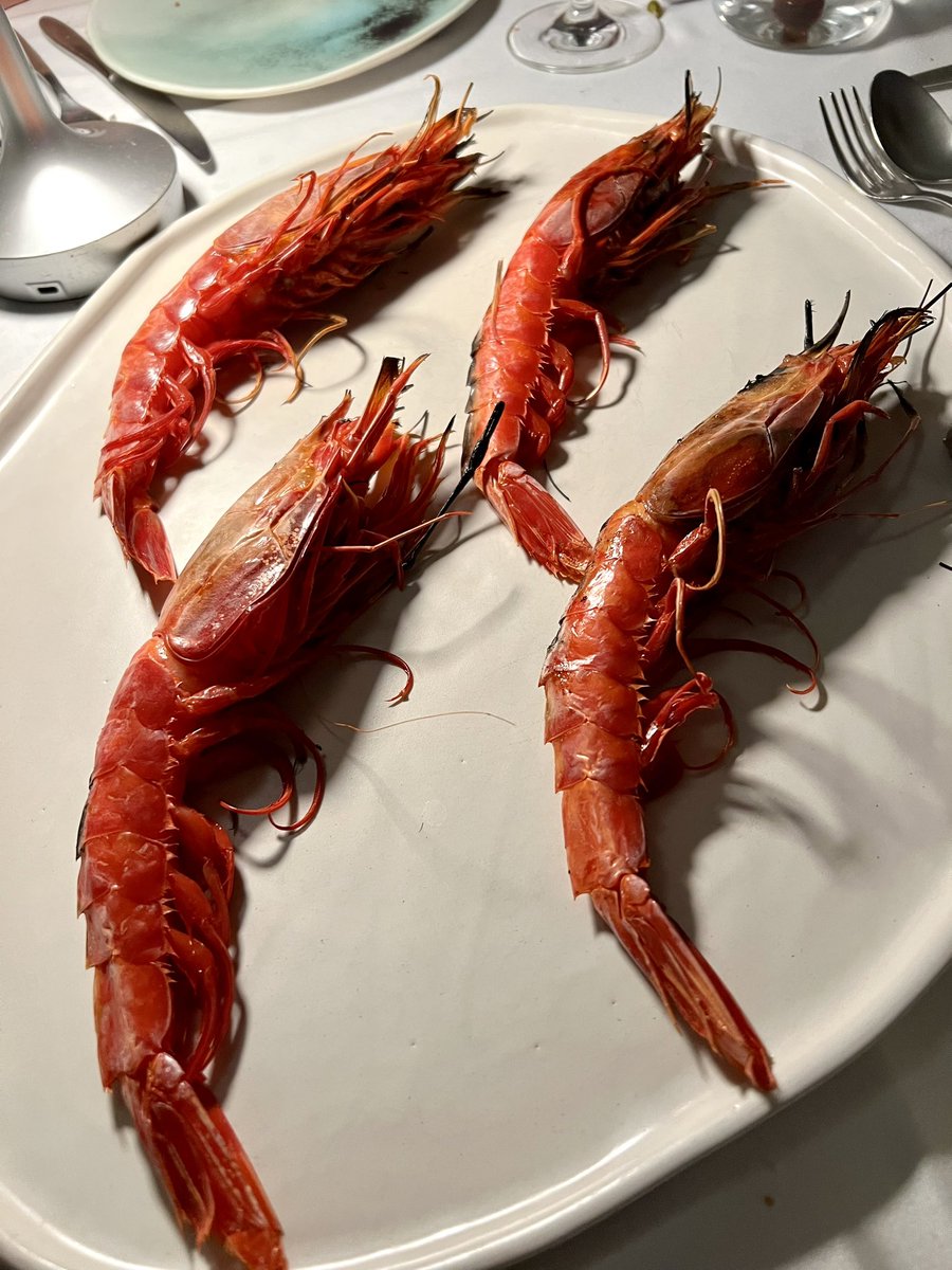 dvillarrib's tweet photo. Quisquilla de Marbella, Langostinos de sanlucar,
Carabineros y ostras
#hardworksummum #lobitodemar #marbella #summumgolf #danigarcia #summum #marisco #top https://t.co/glFFaexNfv