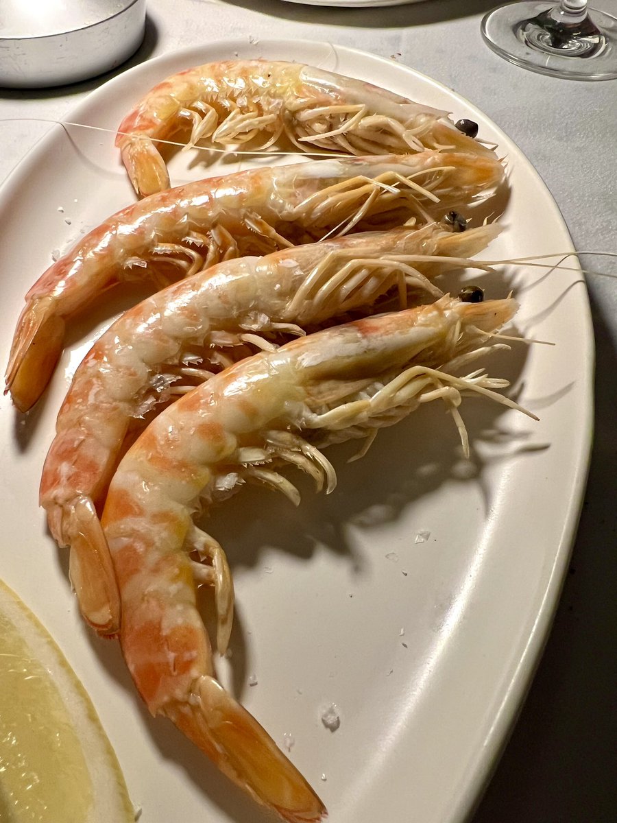 dvillarrib's tweet photo. Quisquilla de Marbella, Langostinos de sanlucar,
Carabineros y ostras
#hardworksummum #lobitodemar #marbella #summumgolf #danigarcia #summum #marisco #top https://t.co/glFFaexNfv