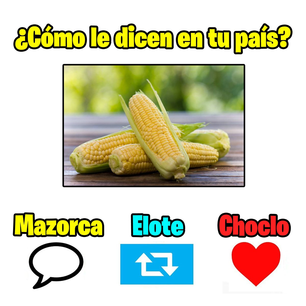Ram 🍖 tweet media