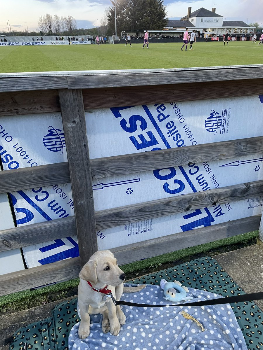 kerripoppet's tweet photo. Beryl had such a fun time at her very first match @hanwelltownfc https://t.co/239lOeNmxq