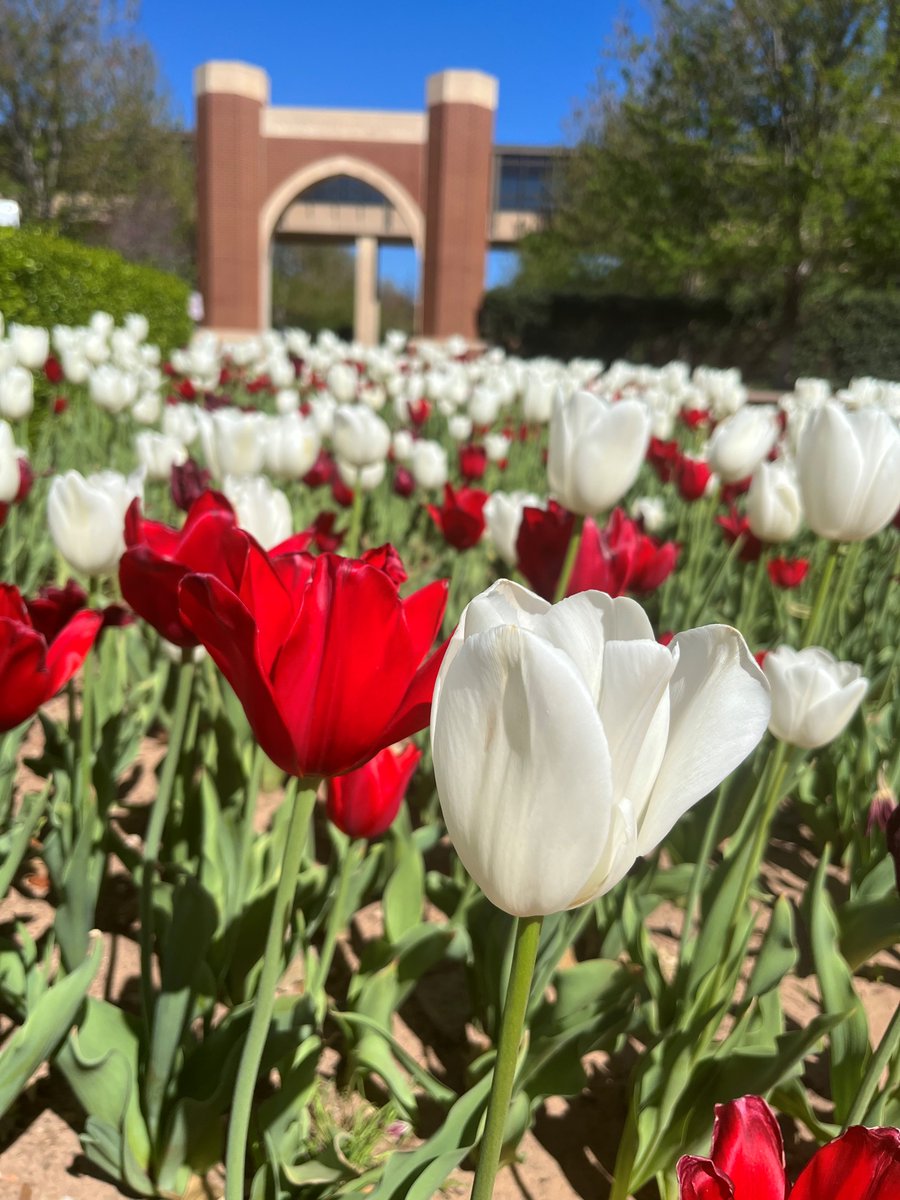 Tell us what you're passionate about at OU! Share a photo or your favorite story about why you support OU on your public Instagram or Twitter account using #OUGivingDay. 
Don't forget to make a gift to givesooner.org/campaign_searc… between 7:00 pm - 8:00 pm to be entered to win!