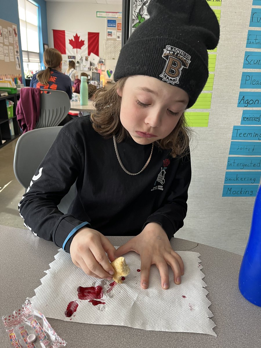 alohateach's tweet photo. These lucky kiddoes helped bake bannock, make jam, and EAT! @PamperdchefJill @IRIC_WC #deliciouslearning #PBL https://t.co/cqocwv6SmR