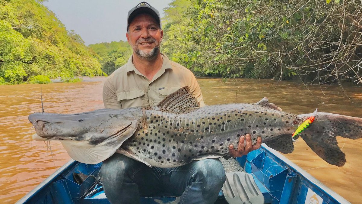 fishingclub001's tweet photo. 🧢 Já conhece a nossa linha de bonés e Camisetas UV do Fishing Club?
📲 Consulte em nosso site, link na bio.
〰️〰️〰️〰️〰️〰️〰️〰️〰️〰️〰️〰️
#Fishingclub #Vistafishingclub #pescadeportiva #pescador #rioaquidauana #pintado #surubim #surubi #peixegrande #pesqueesolte https://t.co/SgWM65ZOth
