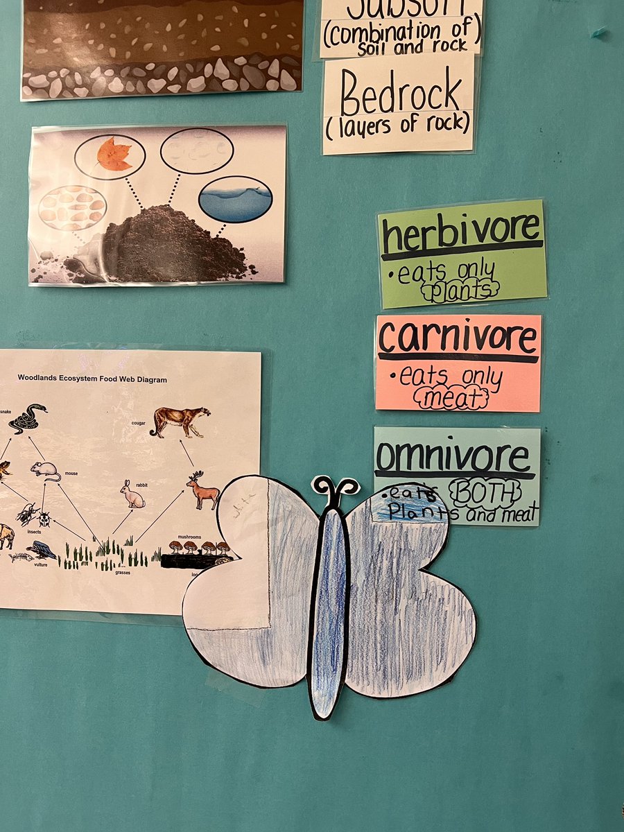 PSDMrsLandis's tweet photo. See if you can spot these camouflaged butterflies!! 🦋
4th graders @PSDGrasse learned about animal adaptations today!!@PennridgeSD https://t.co/8Ids8Jmfqc