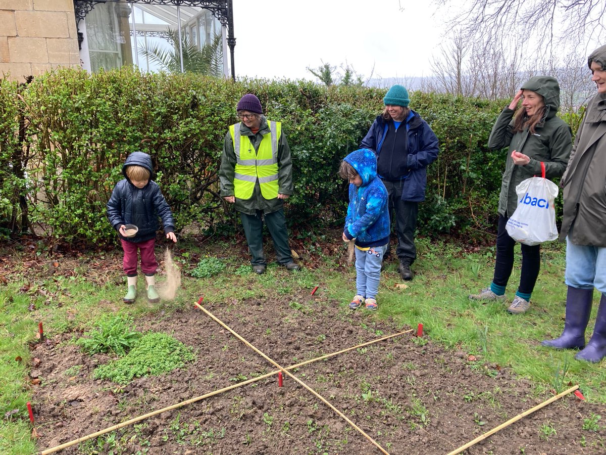 AlexandraPark3's tweet photo. Poppy seeding despite the rain. https://t.co/GrD2II4Box