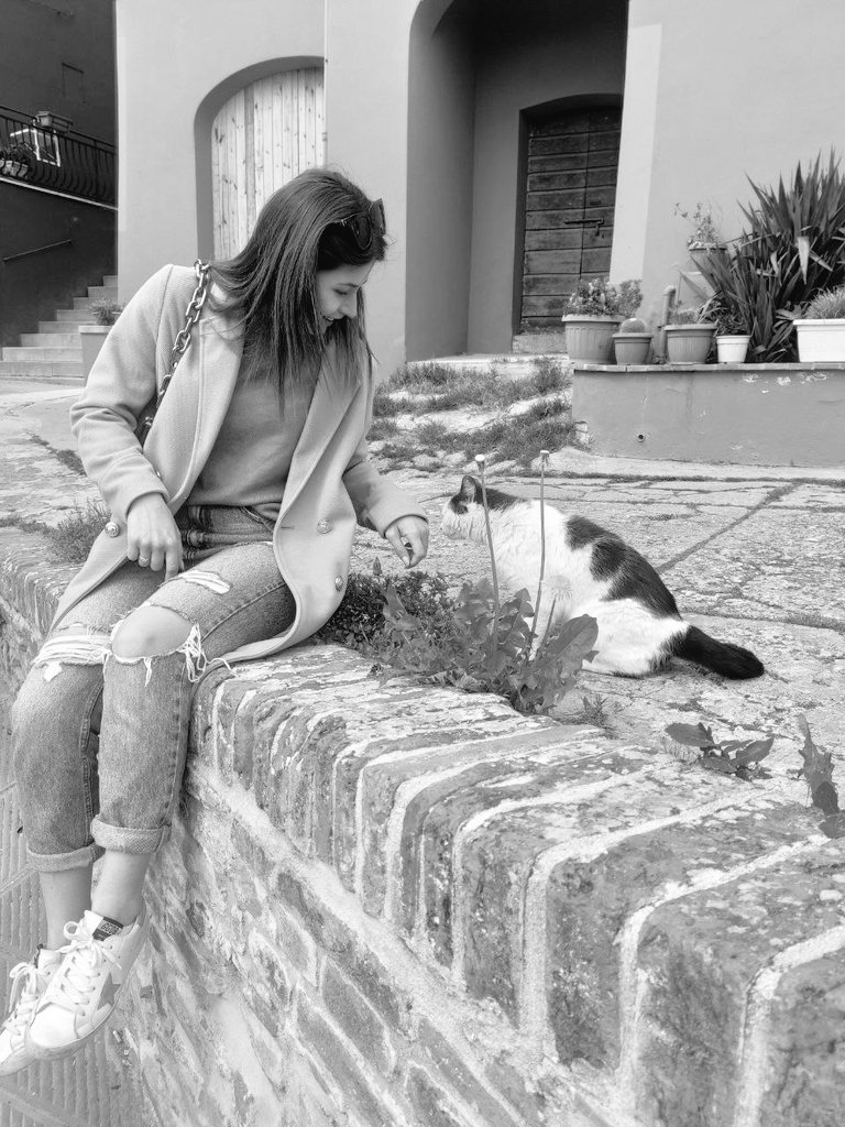 FrattinaGiulia's tweet photo. Miao https://t.co/xK3W1HxY3c