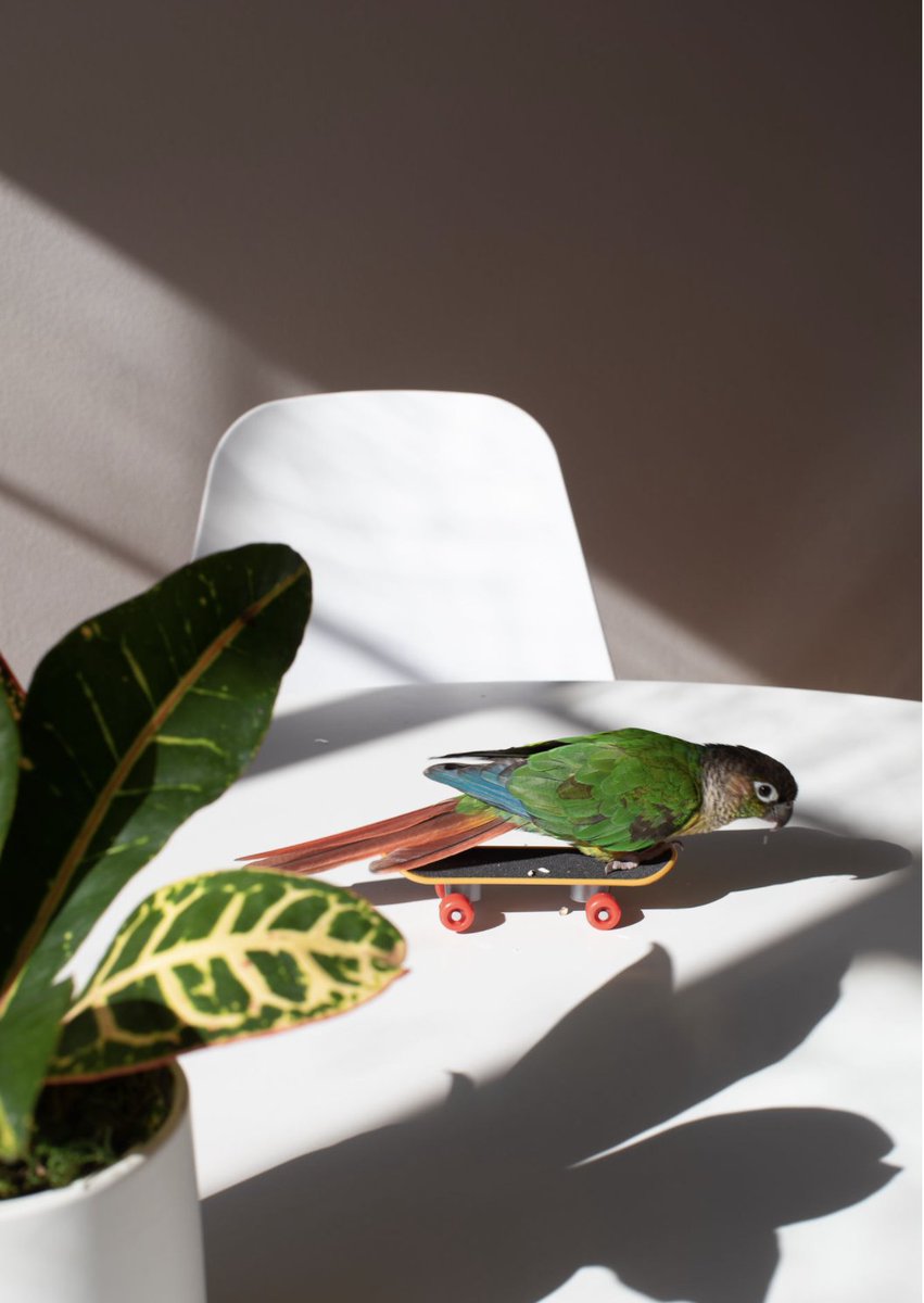 Léon & George tweet media