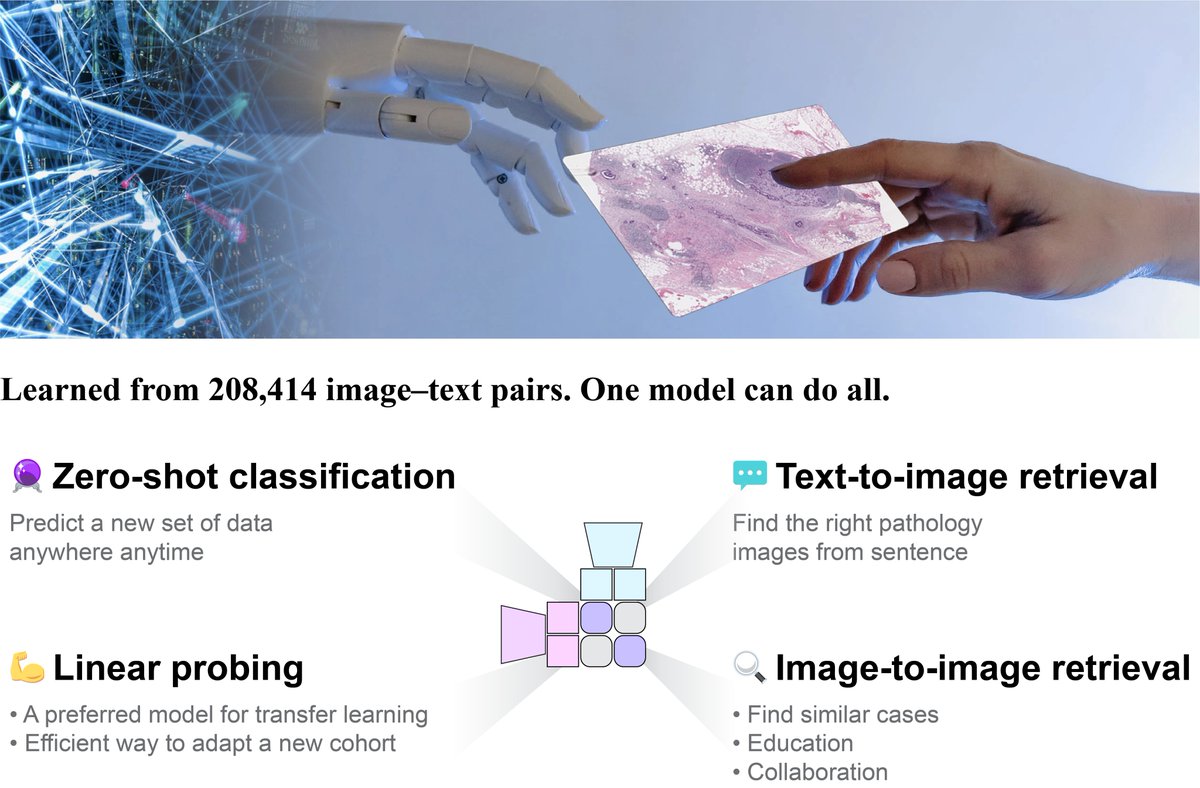 📢 AI + Twitter = Foundation Visual-Language Model for Pathology 🚀

In our recent preprint biorxiv.org/content/10.110…, we used Twitter to curate #OpenPath🔥, a large dataset of 208,414 high-quality pathology images paired with natural language description.

🧵1/n